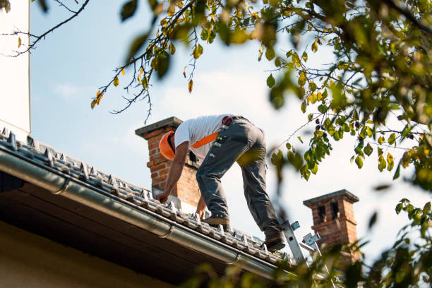 Best Roof Leak Repair  in Salem Heights, OH